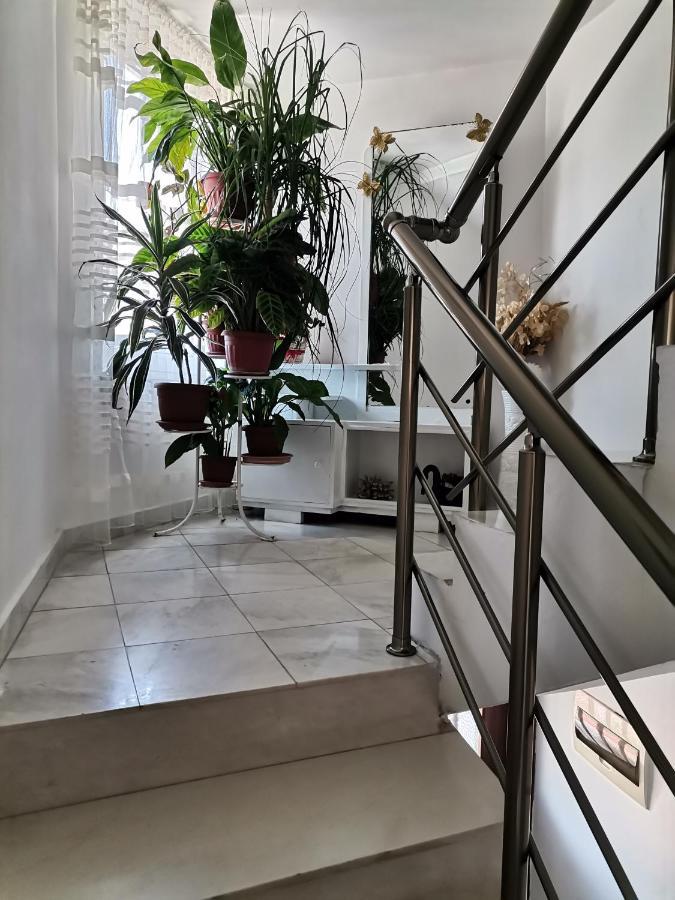 Guest House Konomaevi Sozopol Zewnętrze zdjęcie